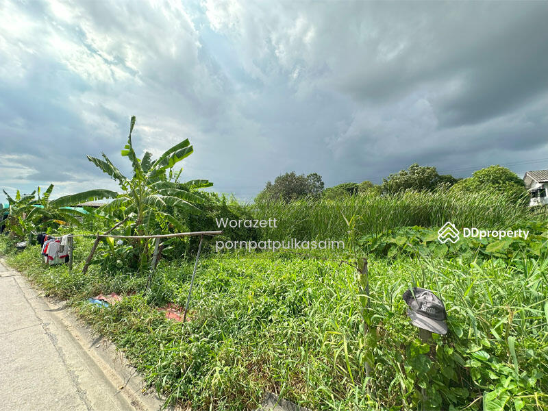 ขาย - ที่ดิน เพชรเกษม 77 หนองแขม, กรุงเทพ