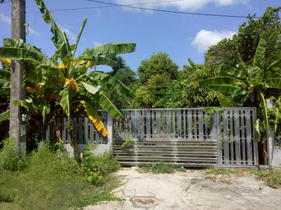 ขาย - ที่ดินนอกโครงการสุรินทร์, สุรินทร์