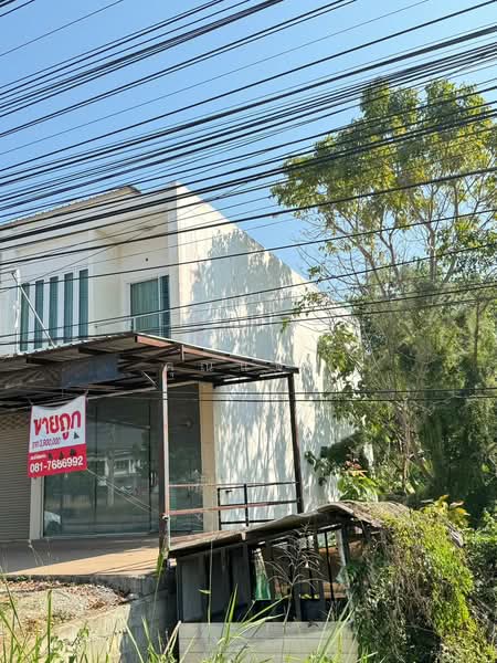 For Sale - อาคารพาณิชย์นอกโครงการเลย, Loei