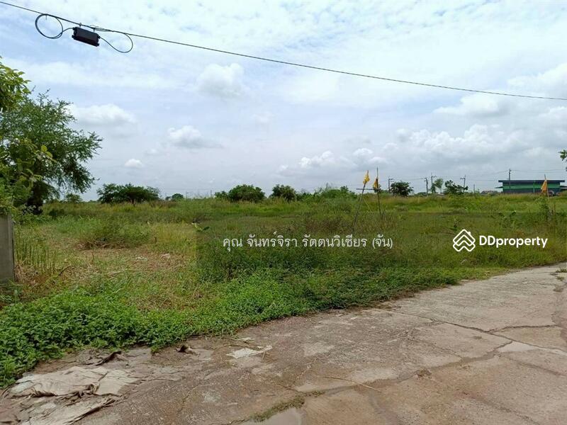 For Sale - ที่ดินเปล่า 198 ตร.ว. ที่ดินเปล่า ใกล้ซอยผดุงพันธ์27 ถนนผดุงพันธ์ เขตหนองจอก กรุงเทพมหานคร, Bangkok