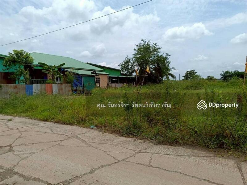 For Sale - ที่ดินเปล่า 198 ตร.ว. ที่ดินเปล่า ใกล้ซอยผดุงพันธ์27 ถนนผดุงพันธ์ เขตหนองจอก กรุงเทพมหานคร, Bangkok