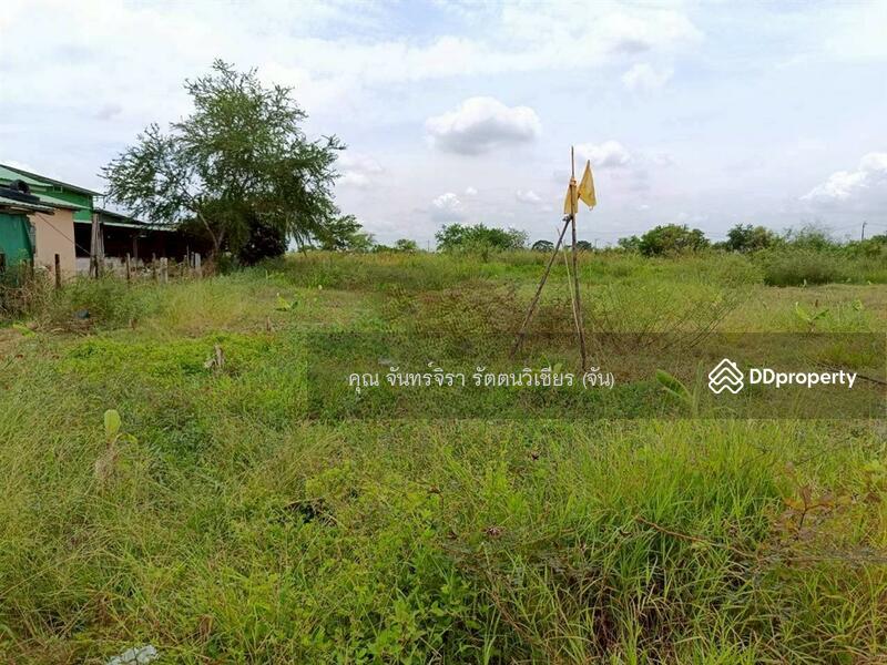 For Sale - ที่ดินเปล่า 198 ตร.ว. ที่ดินเปล่า ใกล้ซอยผดุงพันธ์27 ถนนผดุงพันธ์ เขตหนองจอก กรุงเทพมหานคร, Bangkok