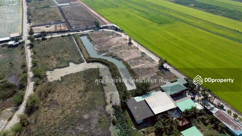 ขาย - ที่ดินเปล่า 198 ตร.ว. ที่ดินเปล่า ใกล้ซอยผดุงพันธ์27 ถนนผดุงพันธ์ เขตหนองจอก กรุงเทพมหานคร, กรุงเทพ