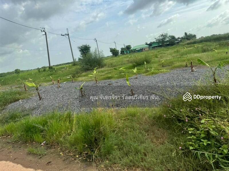 For Sale - ที่ดินเปล่า 198 ตร.ว. ที่ดินเปล่า ใกล้ซอยผดุงพันธ์27 ถนนผดุงพันธ์ เขตหนองจอก กรุงเทพมหานคร, Bangkok