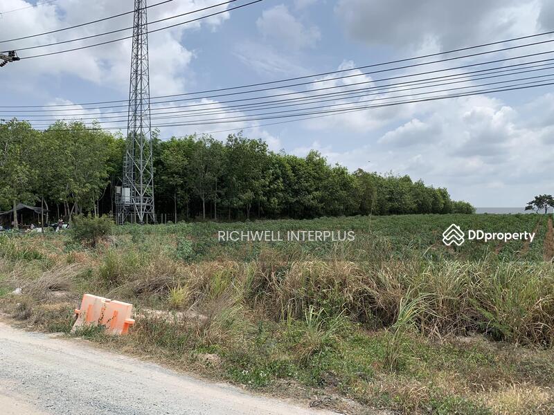 For Sale - Land for sale in Map Yang Phon, purple pattern, 11 rai, behind Amata Bo Win Industrial Estate,, Rayong