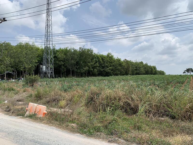 Land for sale purple-striped zoning, 10 rai, located behind Amata Bovin Industrial Estate, Rayong, Mapyangphon, Pluak Daeng, Rayong, , 17,592 sqm, Land For Sale, by RICHWELL INTERPLUS, 60115964 - DDproperty.com