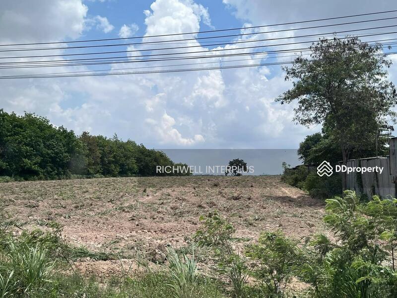 For Sale - Land for sale in Map Yang Phon, purple pattern, 11 rai, behind Amata Bo Win Industrial Estate,, Rayong