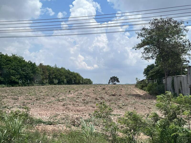 Land for sale purple-striped zoning, 10 rai, located behind Amata Bovin Industrial Estate, Rayong, Mapyangphon, Pluak Daeng, Rayong, , 17,592 sqm, Land For Sale, by RICHWELL INTERPLUS, 60115964 - DDproperty.com