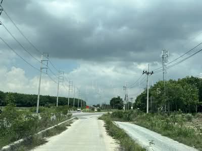 ขาย - ขายที่ดินมาบยางพรสีม่วงลาย 11 ไร่ หลังนิคมอมตะบ่อวิน ติดถนนสี่เลนเส้น2015 ซอยปรุมปราม-ตลาดป้าไสว, ระยอง