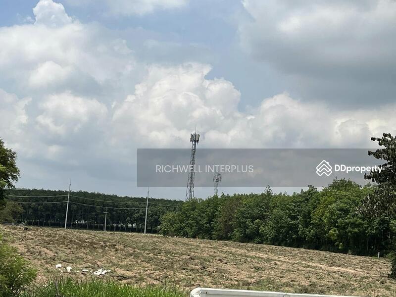 For Sale - Land for sale in Map Yang Phon, purple pattern, 11 rai, behind Amata Bo Win Industrial Estate,, Rayong