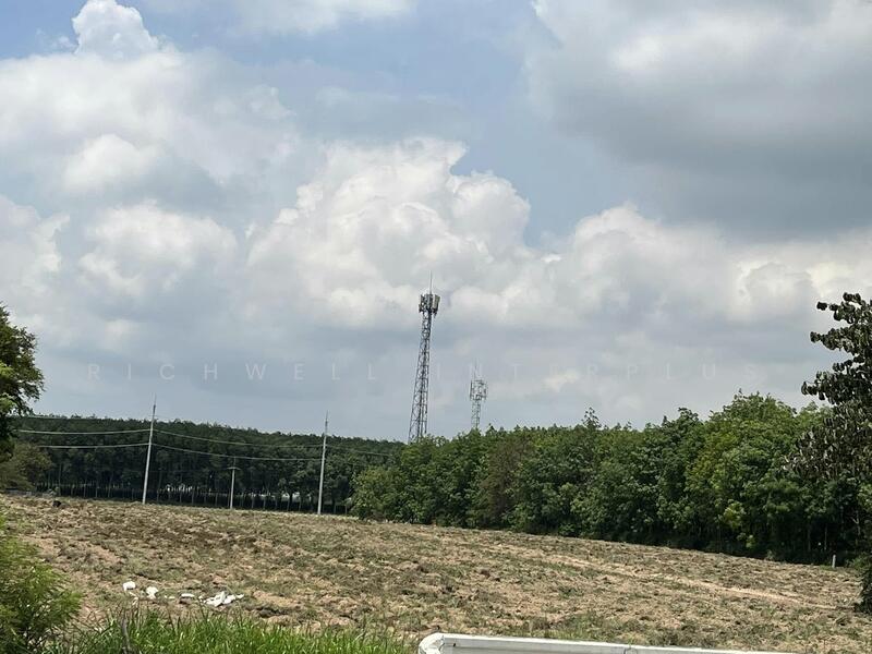 Land for sale purple-striped zoning, 10 rai, located behind Amata Bovin Industrial Estate, Rayong, Mapyangphon, Pluak Daeng, Rayong, , 17,592 sqm, Land For Sale, by RICHWELL INTERPLUS, 60115964 - DDproperty.com