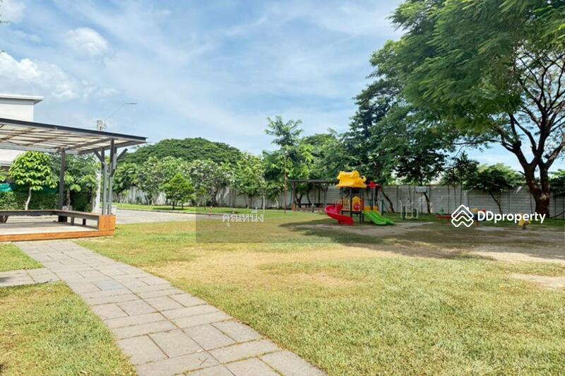 ขาย - Citysense Petchkasem 69 : ซิตี้เซนส์ เพชรเกษม 69, กรุงเทพ