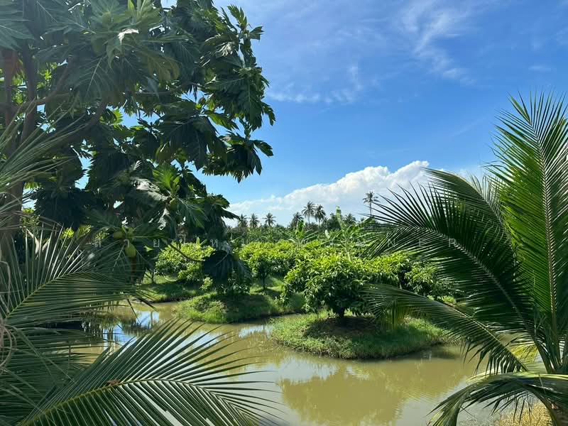 For Sale - ที่ดิน 6 ไร่ ซอยรวมญาติ บางบอน3, Bangkok