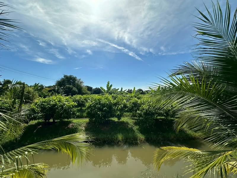 For Sale - ที่ดิน 6 ไร่ ซอยรวมญาติ บางบอน3, Bangkok