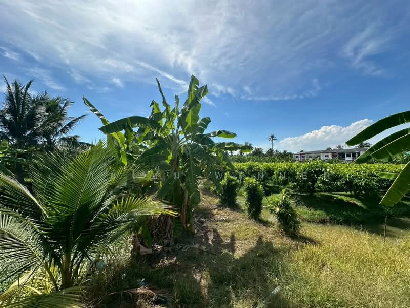 For Sale - ที่ดิน 6 ไร่ ซอยรวมญาติ บางบอน3, Bangkok