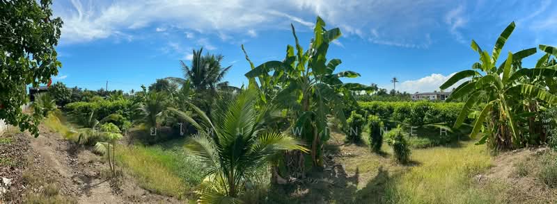 For Sale - ที่ดิน 6 ไร่ ซอยรวมญาติ บางบอน3, Bangkok