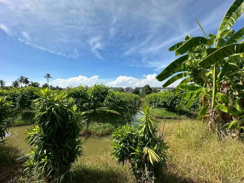 For Sale - ที่ดิน 6 ไร่ ซอยรวมญาติ บางบอน3, Bangkok