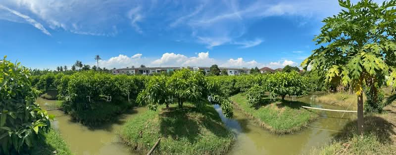 For Sale - ที่ดิน 6 ไร่ ซอยรวมญาติ บางบอน3, Bangkok