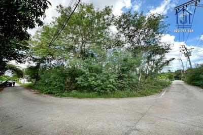 ขาย - ที่ดินถมแล้ว 99.4 ตารางวา ซอย 99พัฒนา ถนนบางกรวย-ไทรน้อย, นนทบุรี