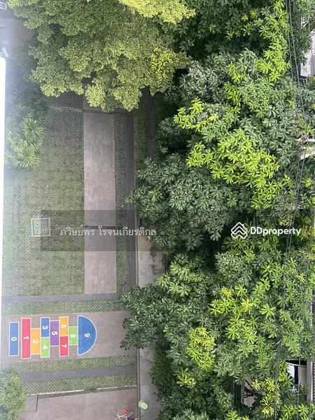 ให้เช่า - Lumpini Suite Rama 8 : ลุมพินี สวีท พระราม 8, กรุงเทพ