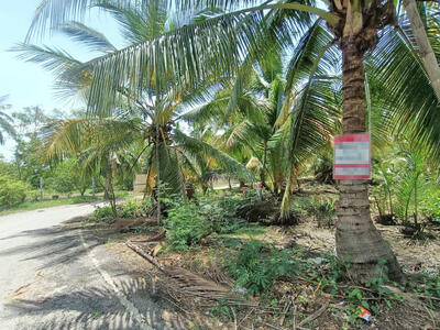 ขาย - ที่ดินท้ายหาด สมุทรสงคราม, สมุทรสงคราม