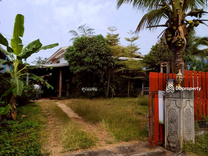 ขาย - นอกโครงการเลย, เลย