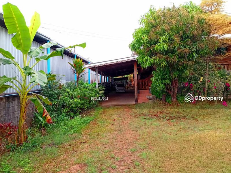 For Sale - นอกโครงการเลย, Loei
