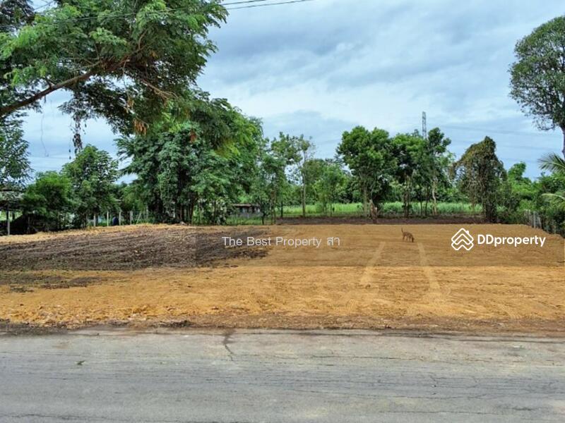 ขาย - ที่ดินจอมบึง ราชบุรี, ราชบุรี
