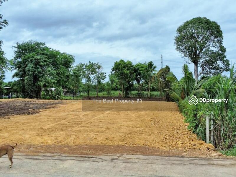 ขาย - ที่ดินจอมบึง ราชบุรี, ราชบุรี