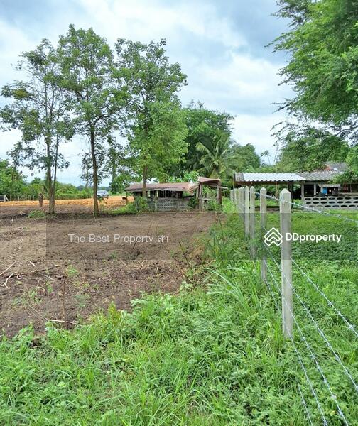 ขาย - ที่ดินจอมบึง ราชบุรี, ราชบุรี