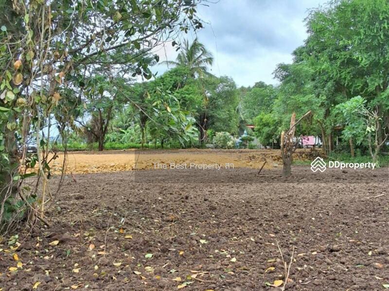 ขาย - ที่ดินจอมบึง ราชบุรี, ราชบุรี