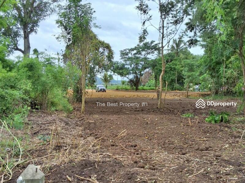 ขาย - ที่ดินจอมบึง ราชบุรี, ราชบุรี