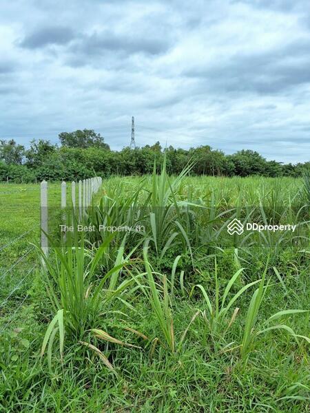 ขาย - ที่ดินจอมบึง ราชบุรี, ราชบุรี