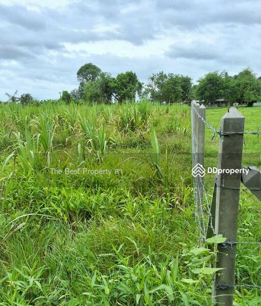 ขาย - ที่ดินจอมบึง ราชบุรี, ราชบุรี