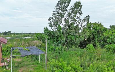 ขาย - ที่ดินคลองเปรง ฉะเชิงเทรา, ฉะเชิงเทรา