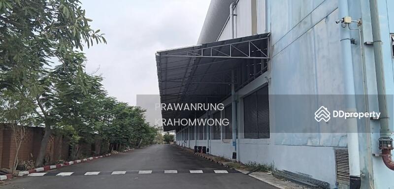 ให้เช่า - ให้เช่าโกดังคลังสินค้า B-A พื้นที่คลังสินค้า: 5,184 ตร.ม.ฉลองกรุง ลำผักชี กรุงเทพ CODE:PP1-W838-07, กรุงเทพ