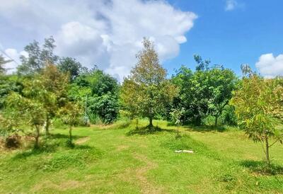 ขาย - ที่ดินขลุง จันทบุรี, จันทบุรี