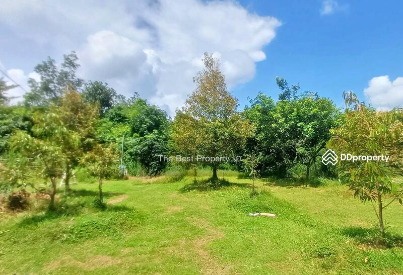 ขาย - ที่ดินขลุง จันทบุรี, จันทบุรี