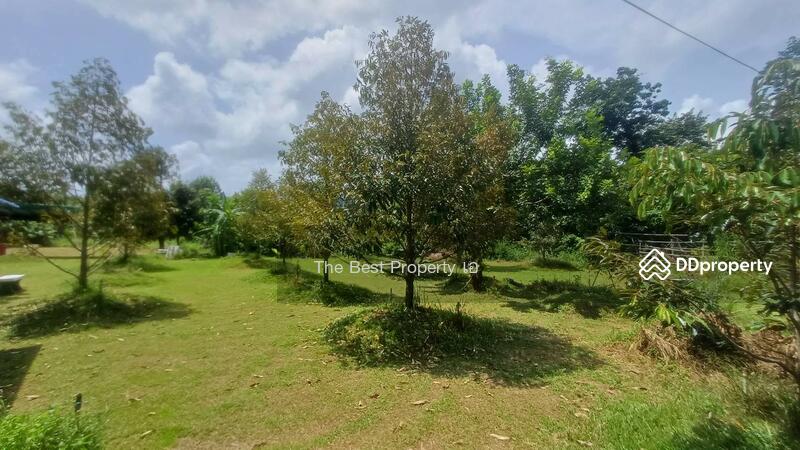 ขาย - ที่ดินขลุง จันทบุรี, จันทบุรี
