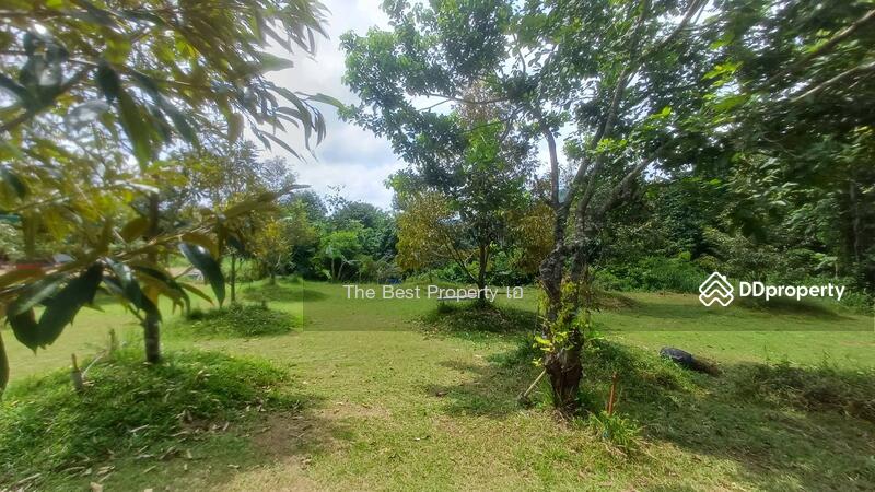 ขาย - ที่ดินขลุง จันทบุรี, จันทบุรี