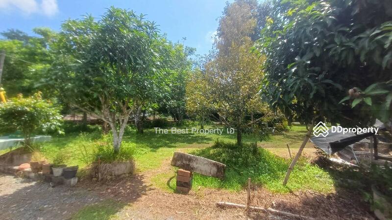 ขาย - ที่ดินขลุง จันทบุรี, จันทบุรี