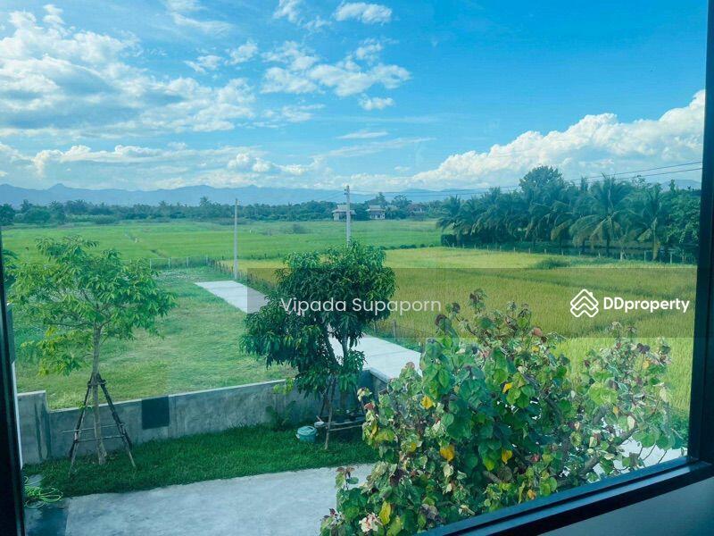 ขาย - บ้าน 4-ห้องนอน, เชียงใหม่