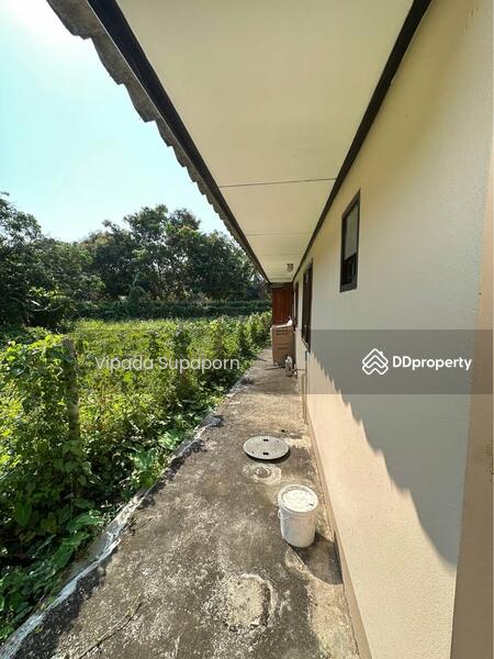 ขาย - บ้าน 6-ห้องนอน, เชียงใหม่