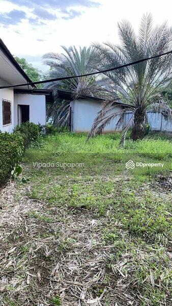 For Sale - 3-Bedroom House, Chiang Mai