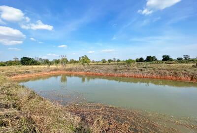 ขาย - ที่ดินชัยบาดาล ลพบุรี, ลพบุรี