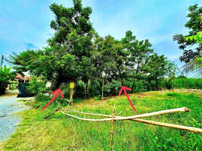 ขาย - ที่ดินพุทธมณฑล นครปฐม, นครปฐม