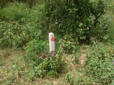 ขาย - ทีดินสวย 13ไร่กว่า ตรงข้าม BIG BOOM FARM ซอยหนองไผ่ บรรยากาศดี, ประจวบคีรีขันธ์