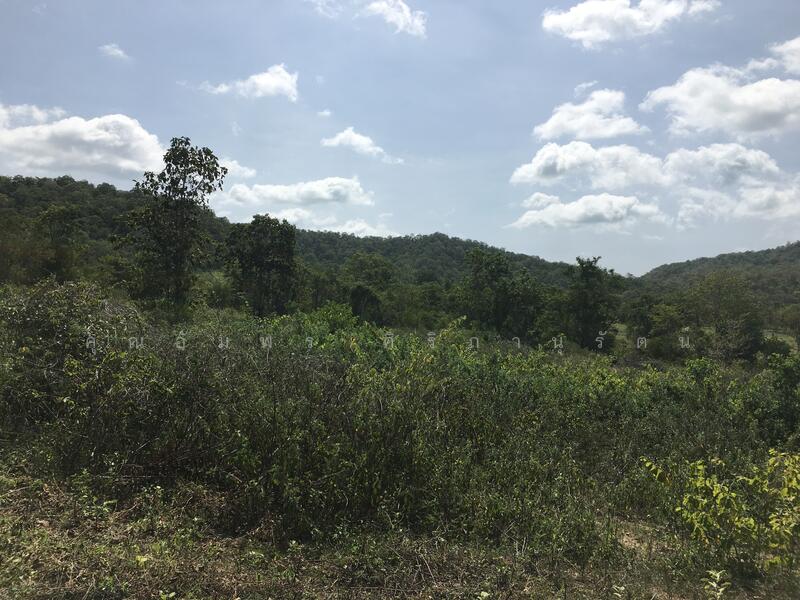 ทีดิน 13ไร่ ตรงข้าม BIG BOOM FARM ซอยหนองไผ่ หัวหิน น่าลงทุน, Prachuap Khiri Khan, 1049, Hin Lek Fai, Hua Hin, Prachuap Khiri Khan, , 21,196 sqm, Land For Sale, by คุณอัมพร ศิริภานุรัตน์, 60116979 - DDproperty.com