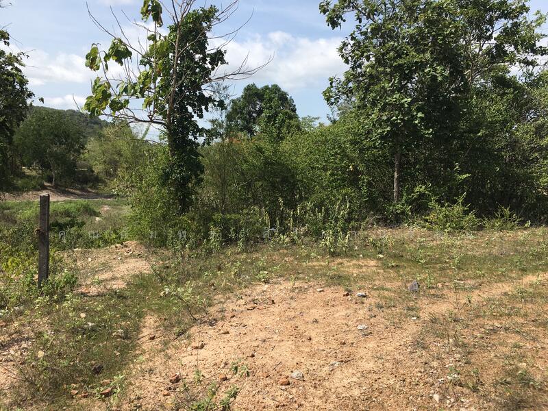 ทีดิน 13ไร่ ตรงข้าม BIG BOOM FARM ซอยหนองไผ่ หัวหิน น่าลงทุน, ประจวบคีรีขันธ์, 1049, หินเหล็กไฟ, หัวหิน, ประจวบคีรีขันธ์, 21,196 ตร.ม., ที่ดิน ขาย, โดย คุณอัมพร ศิริภานุรัตน์, 60116979 - DDproperty.com