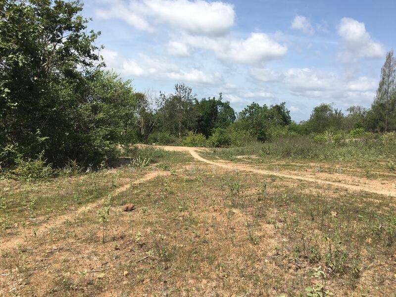 ทีดิน 13ไร่ ตรงข้าม BIG BOOM FARM ซอยหนองไผ่ หัวหิน น่าลงทุน, ประจวบคีรีขันธ์, 1049, หินเหล็กไฟ, หัวหิน, ประจวบคีรีขันธ์, 21,196 ตร.ม., ที่ดิน ขาย, โดย คุณอัมพร ศิริภานุรัตน์, 60116979 - DDproperty.com